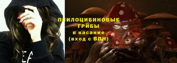 мдма Богородицк