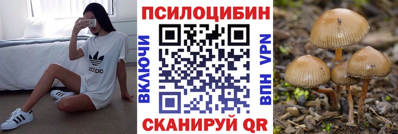 где продают наркотики  Калининград  Псилоцибиновые грибы Magic Shrooms 